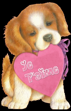 je t'aime mon amour